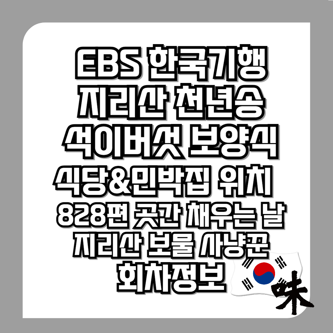한국기행-지리산-천년송-석이버섯전-백숙-식당-민박집-어디-828편-곳간-채우는-날-10월-28일-2부-지리산-보물-사냥꾼-회차정보