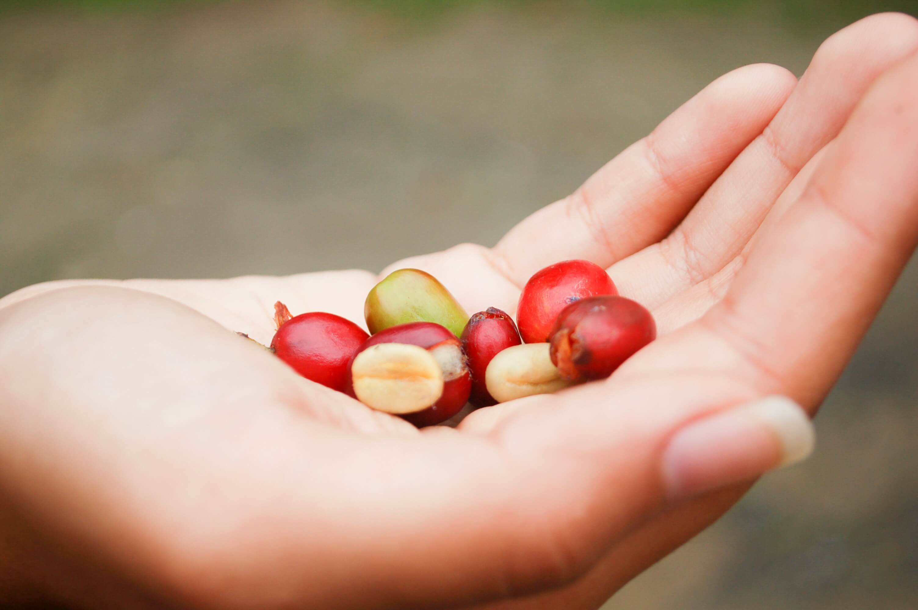 KT 유심 3분만에 간단하게 교체하는 방법