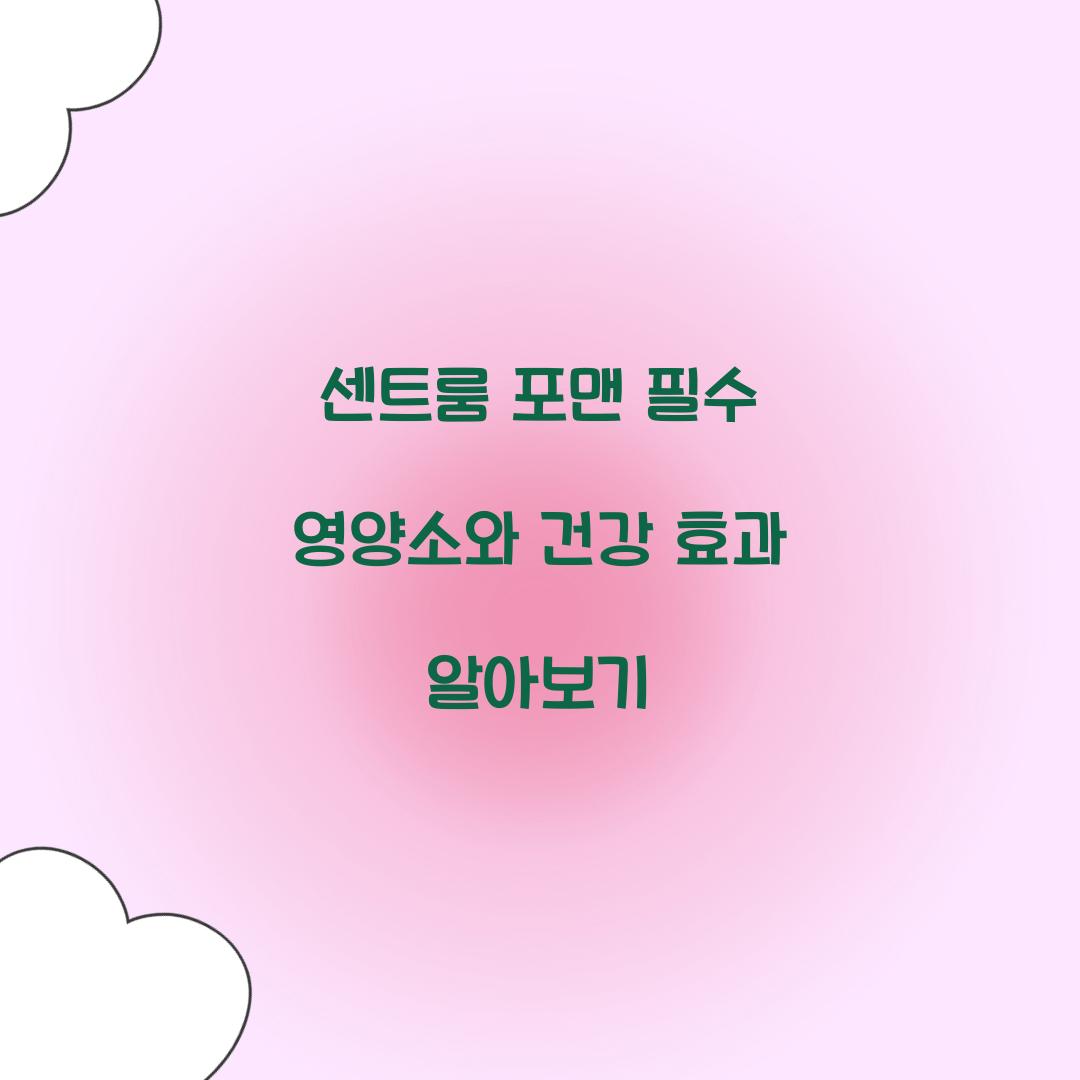 센트룸 포맨