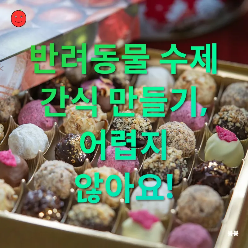 반려동물 수제간식_3