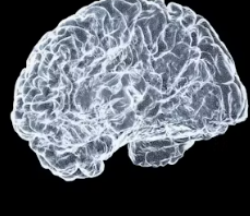 포스파티딜 세린 효능 음식 추천 부작용