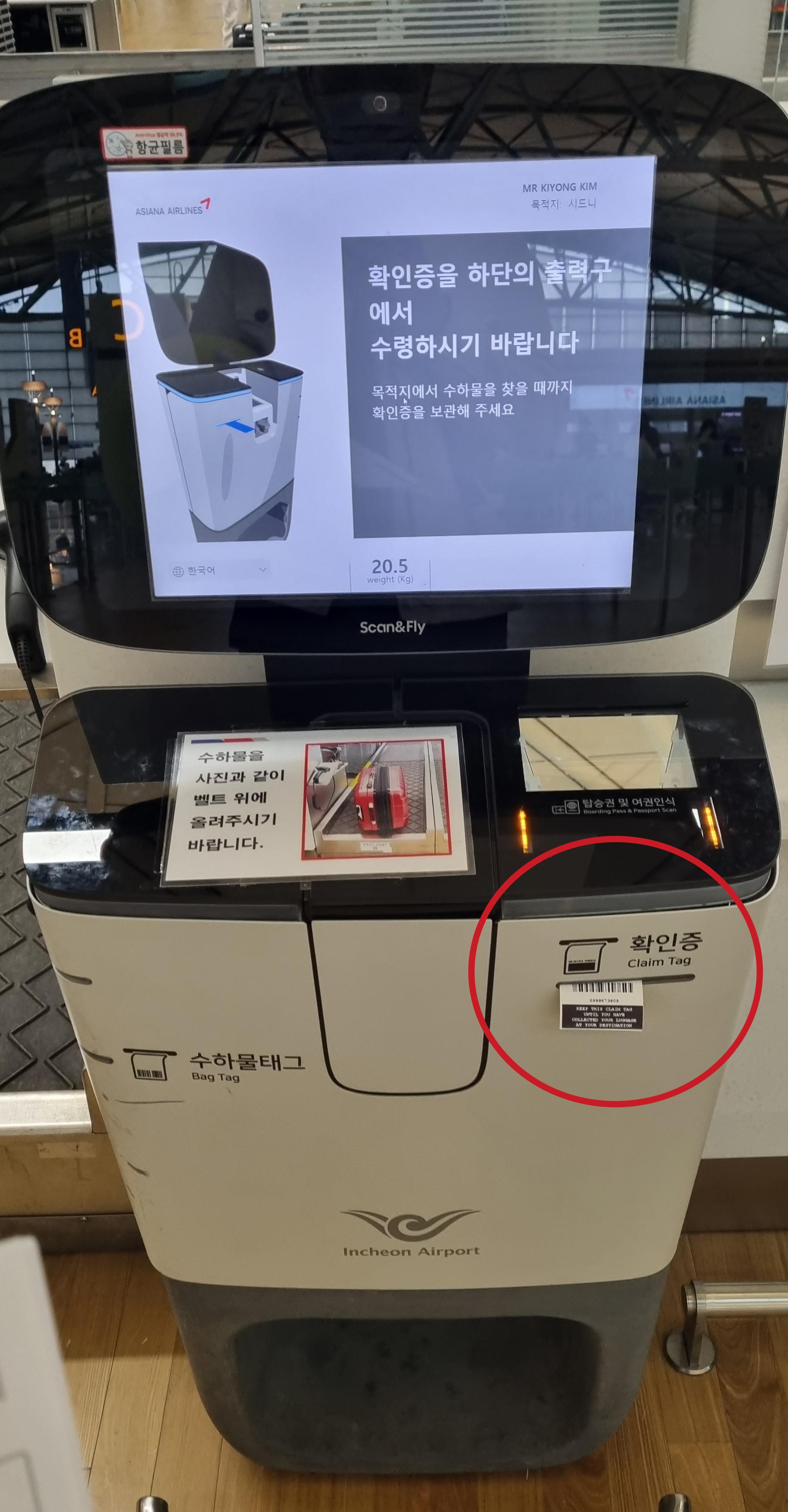 호주 아시아나 항공 환전