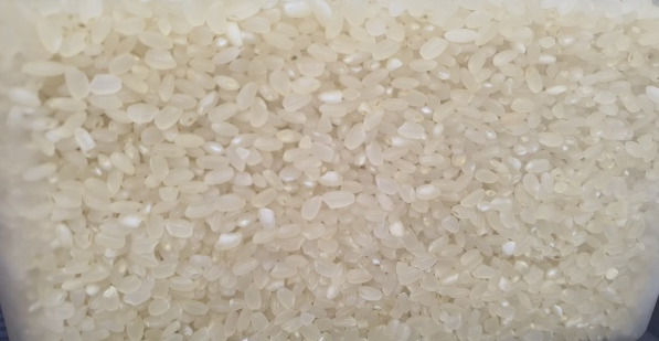 통에-담겨있는-쌀