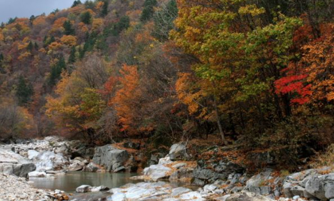 2025 오대산 단풍 절정 시기 공개! 가을 일정 &amp; 인기 등산 코스 TOP 5