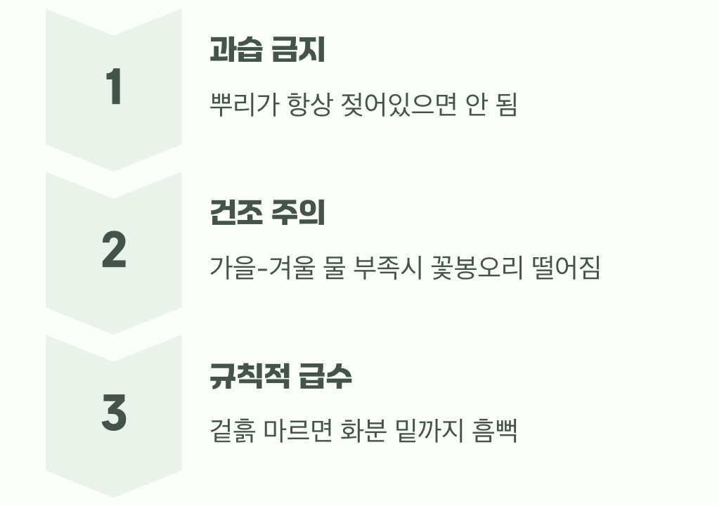 가장 큰 숙제&amp;#44; 꽃봉오리 지키는 물주기