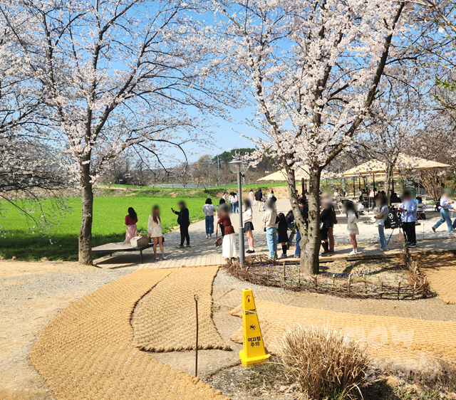 충남-당진-피어라-카페