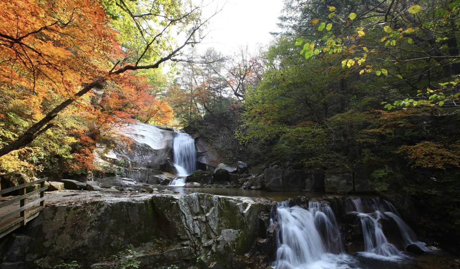 국립자연휴양림 전경