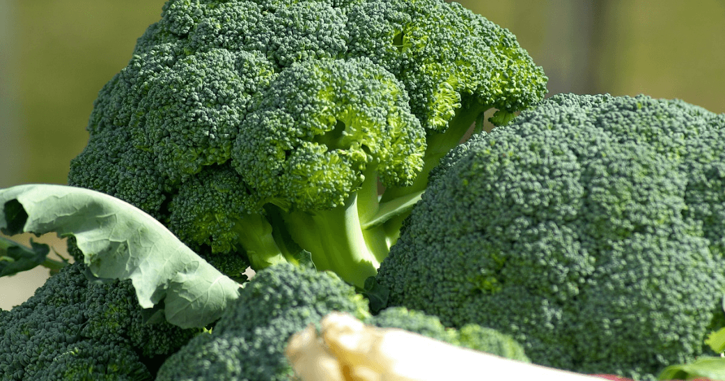 방귀 냄새가 심한 이유가 되는 관련 사진 - 2