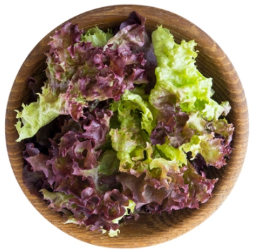 한국의 떡 종류 상추떡-적상추