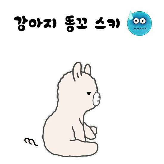 강아지 똥꼬 스키