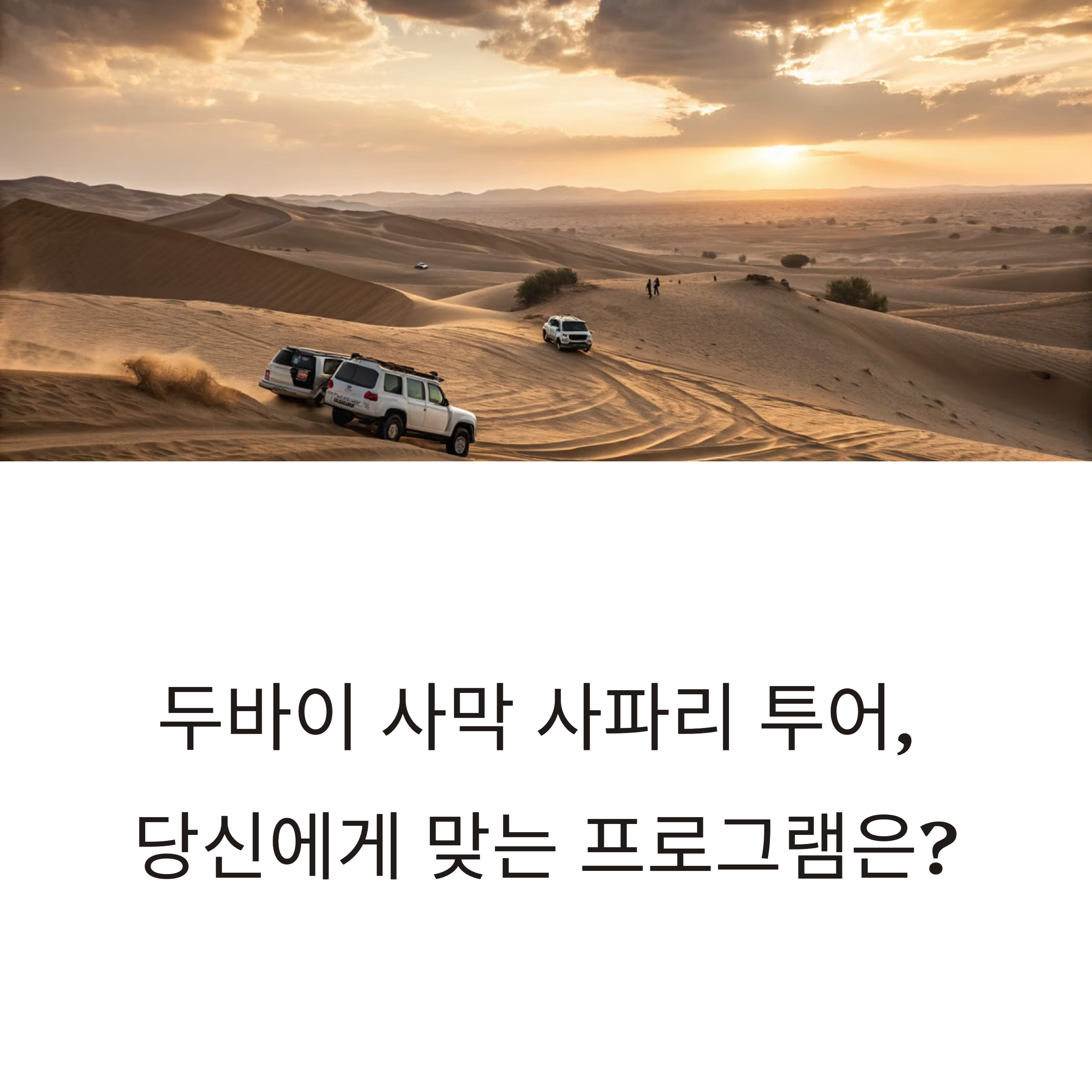 두바이 사막 사파리 투어
