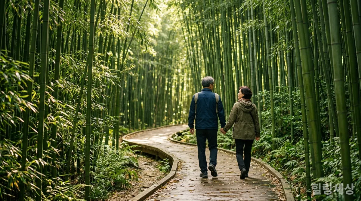 담양 죽녹원에서 대나무 숲길을 평화롭게 걷는 50대 한국인 부부