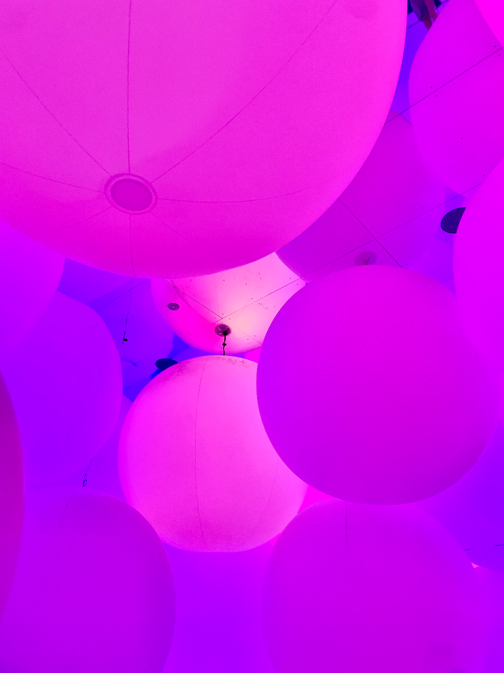 일본 도쿄 팀랩플래닛 관람-평면화하는 세 가지 색과 모호한 아홉 가지 색