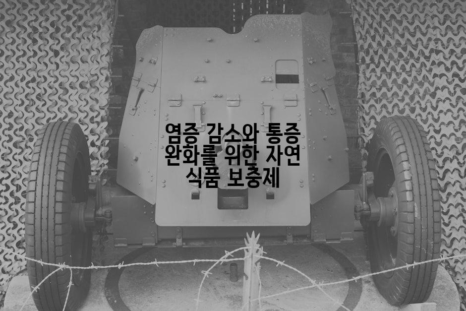 염증 감소와 통증 완화를 위한 자연 식품 보충제