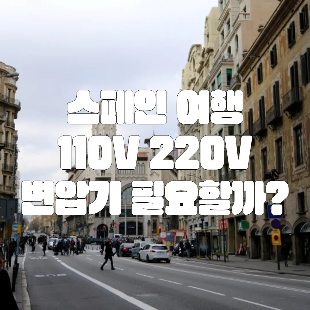 스페인 110V? 220V? 변압기