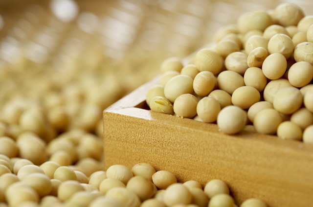 아르기닌 많은 음식