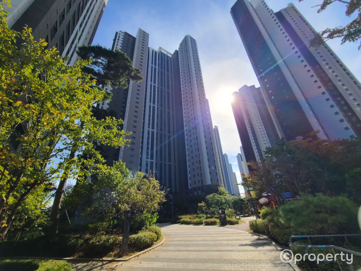 신축단지조경-길을따라나무가심어진-놀이터가있는