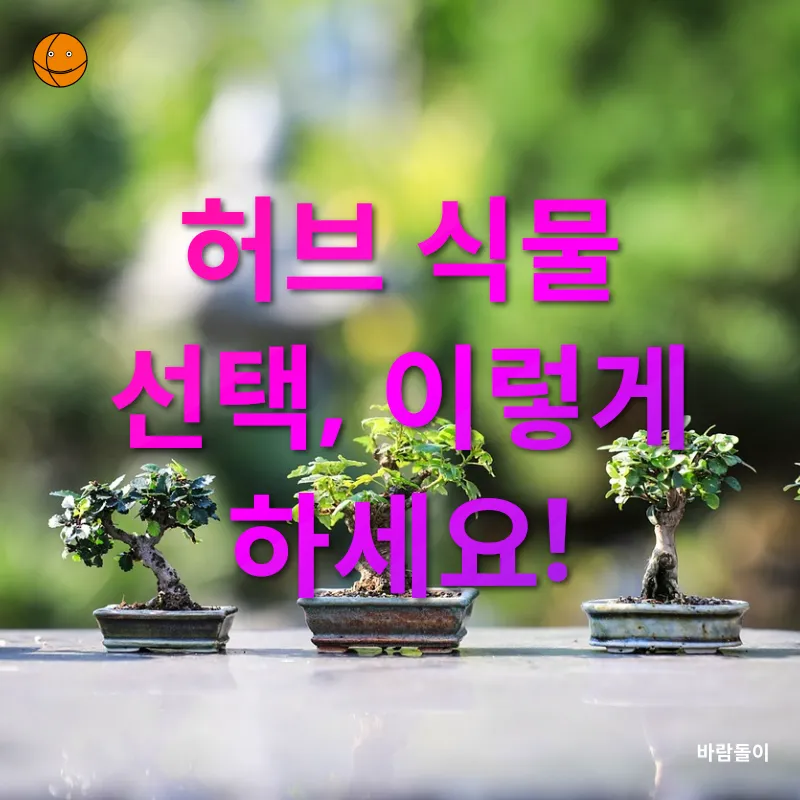 실내 허브 정원_1