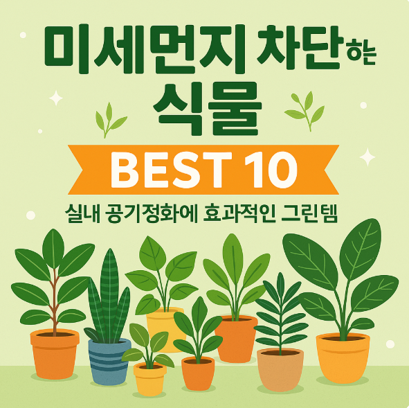 미세먼지 차단 식물 BEST 10, 식물학자가 추천하는 자연 속 공기청정기