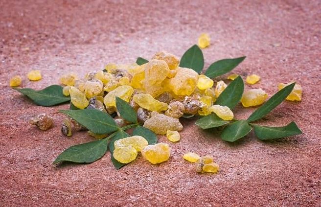 보스웰리아효능