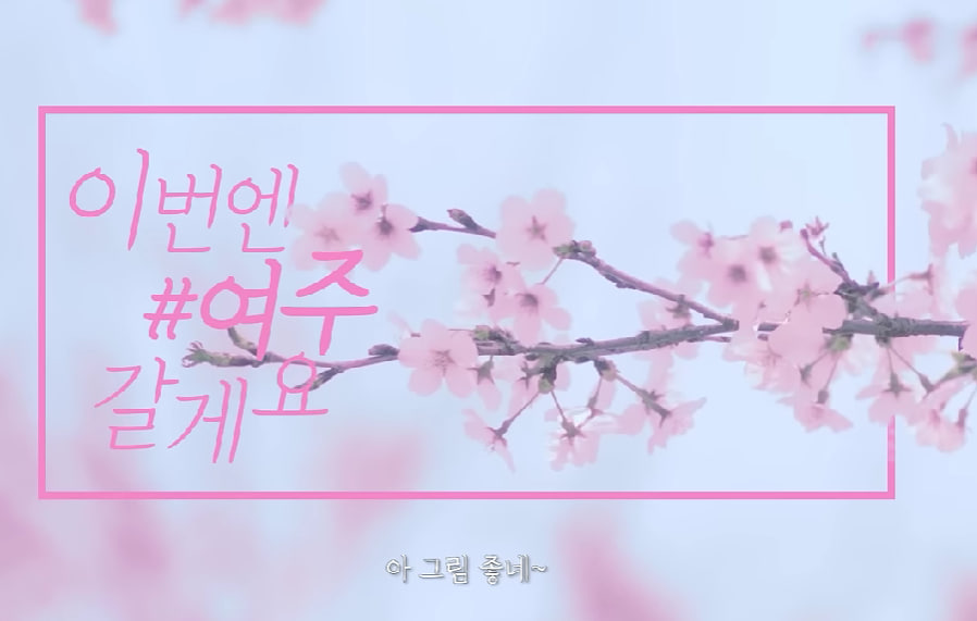 전국 벚꽃 봄꽃 축제 추천 Best 5