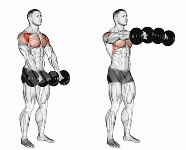 프론트레터럴레이즈