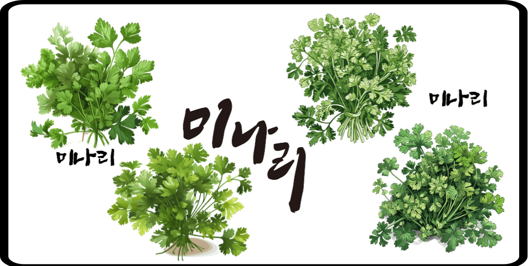 생미나리