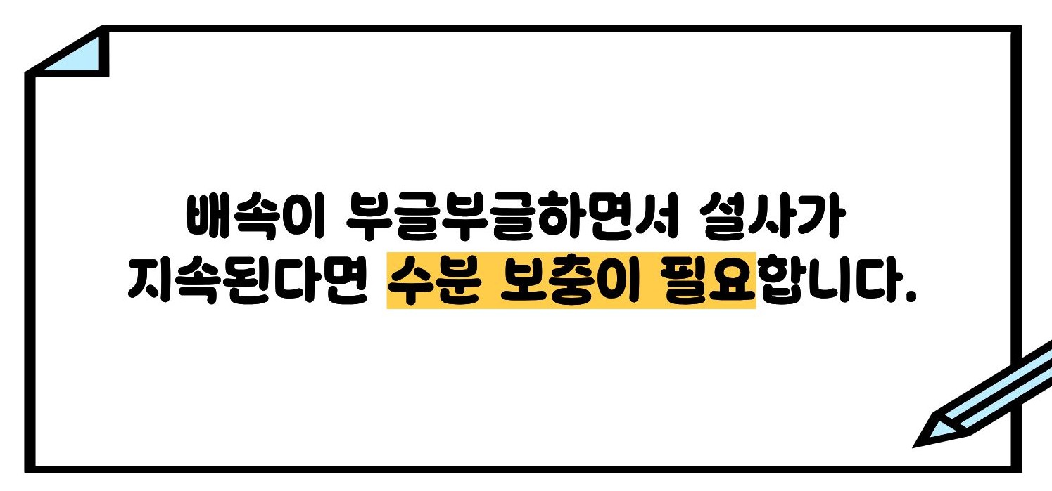 물설사하고 배속이 부글부글