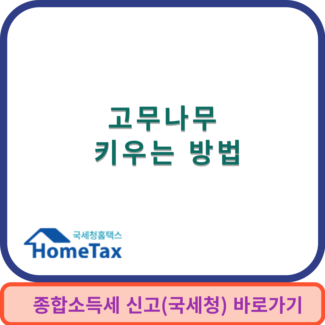 고무나무키우기썸네일