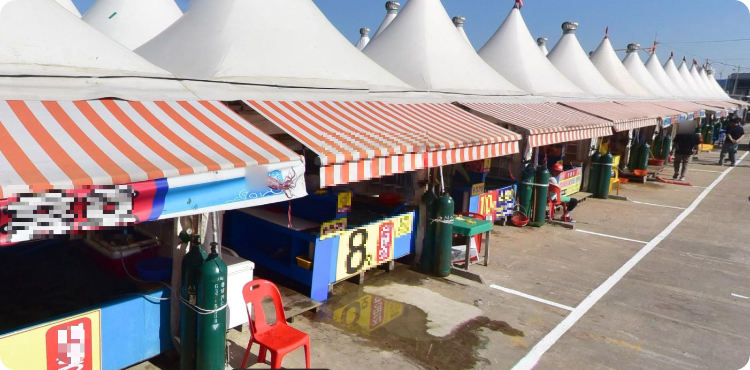 속초 동명항 오징어 난전