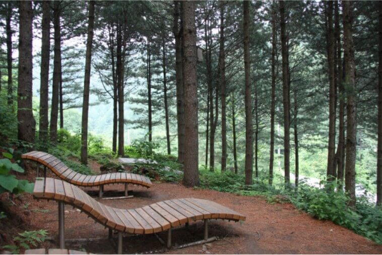 백운산자연휴양림 살림욕장