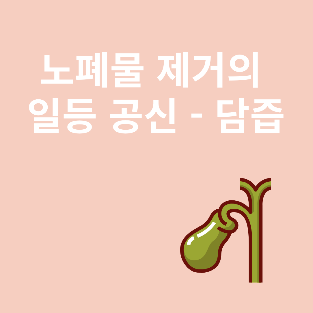 담즙과 관련된 이미지