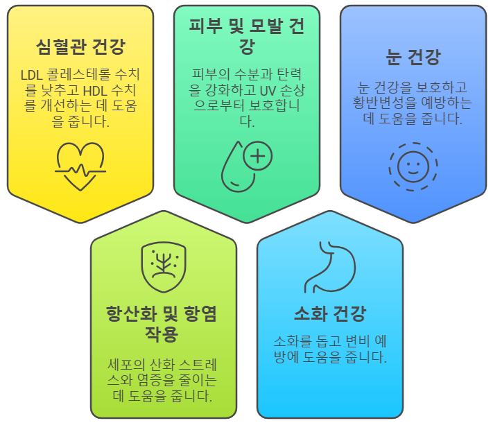아보카도유 효능