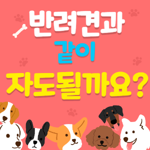 강아지랑 침대에서 같이 자도 될까요?