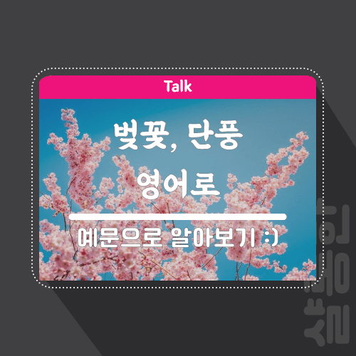 벚꽃-단풍-영어로-포스팅-썸네일