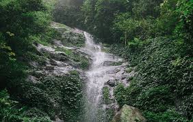 바비 국립공원(Ba Vi National Park) (출처:vinwonders/트립어드바이저)