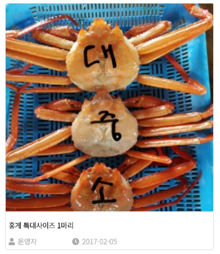 한국기행-주문진-홍게-수진호-김수진