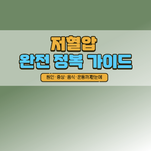 저혈압 완전 정복 가이드