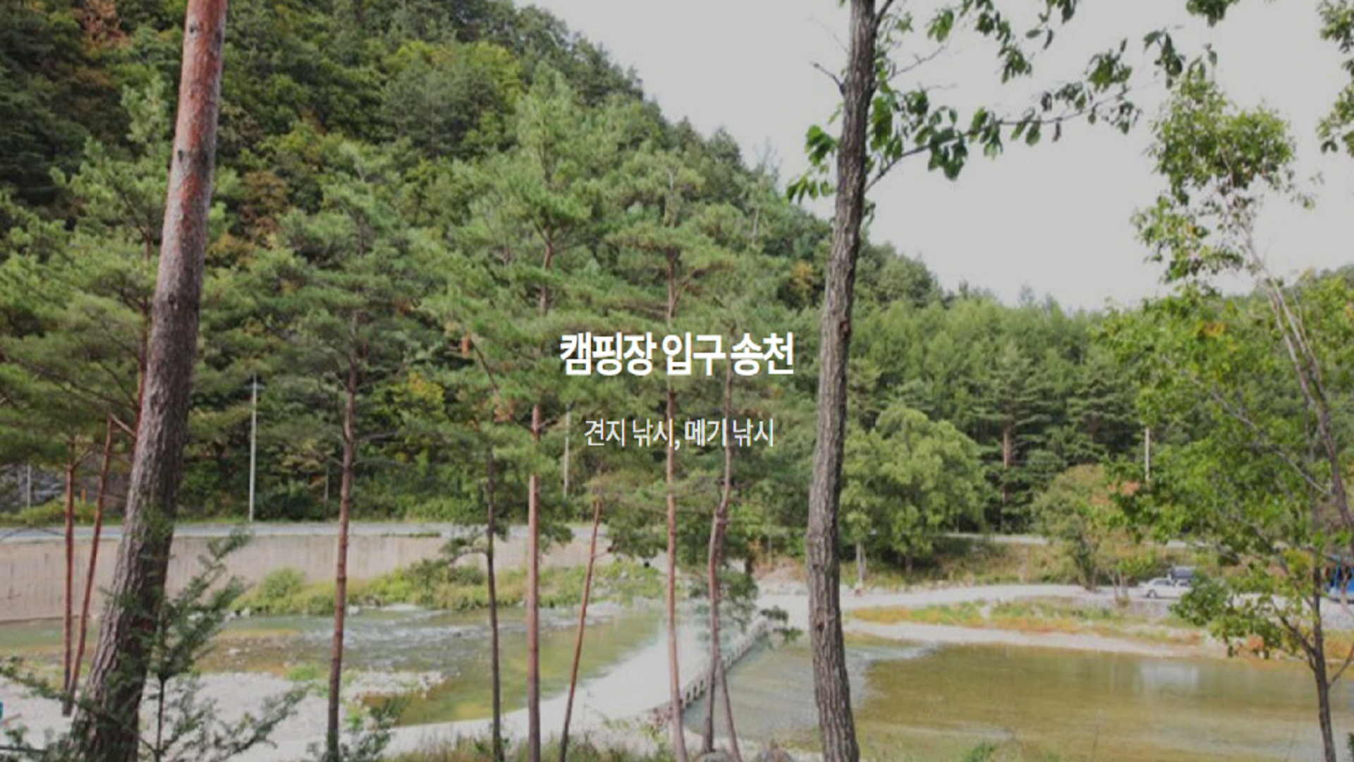 강릉 노추산 힐링 캠프 바로가기