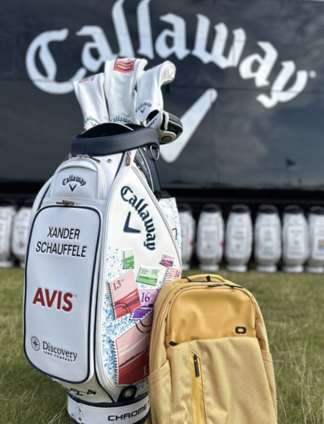 잰더 쇼플리 사용클럽