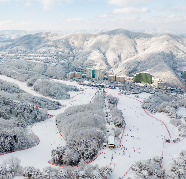 홍천 비발디파크