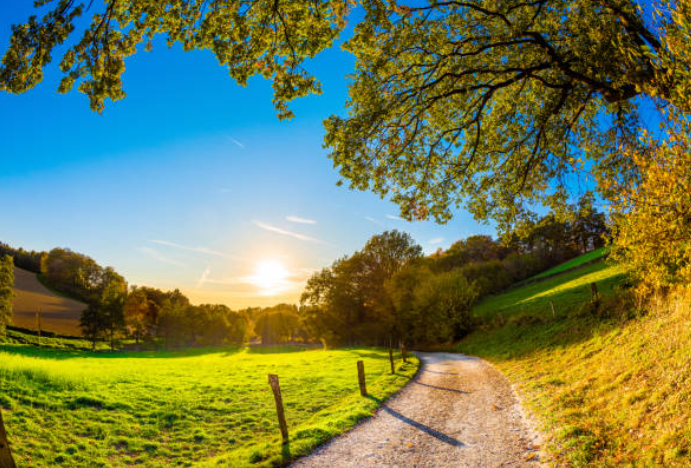 가을 캠핑 경북 울진 금강송 에코리움