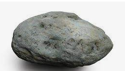 ESFJ 유형 특징 분석