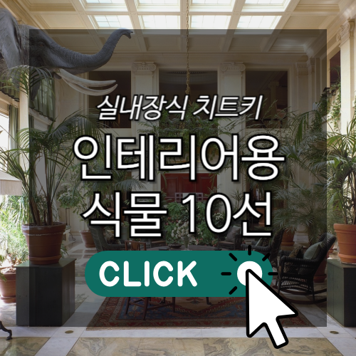 인테리어용 식물 10선 썸네일