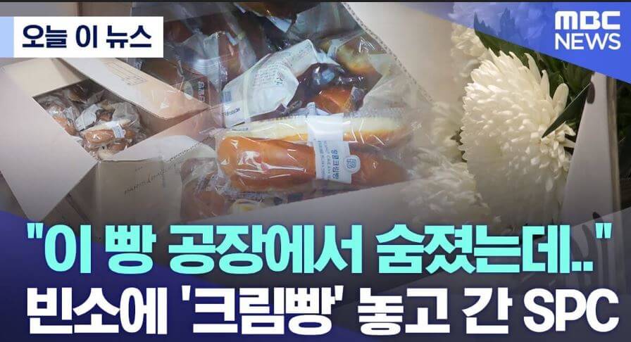 샤니 사고 빈소 크림빵