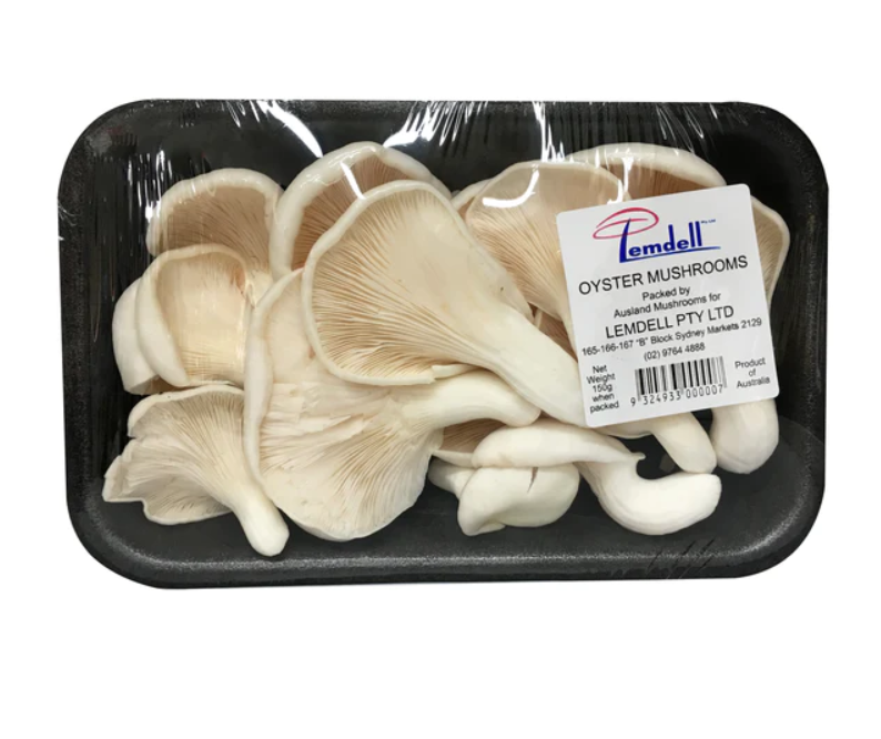 느타리버섯 영어로