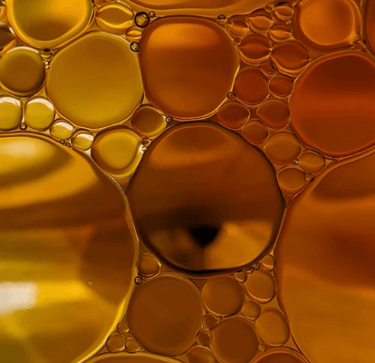 프로폴리스 고르는 법 - 구강 내 항균 기능성