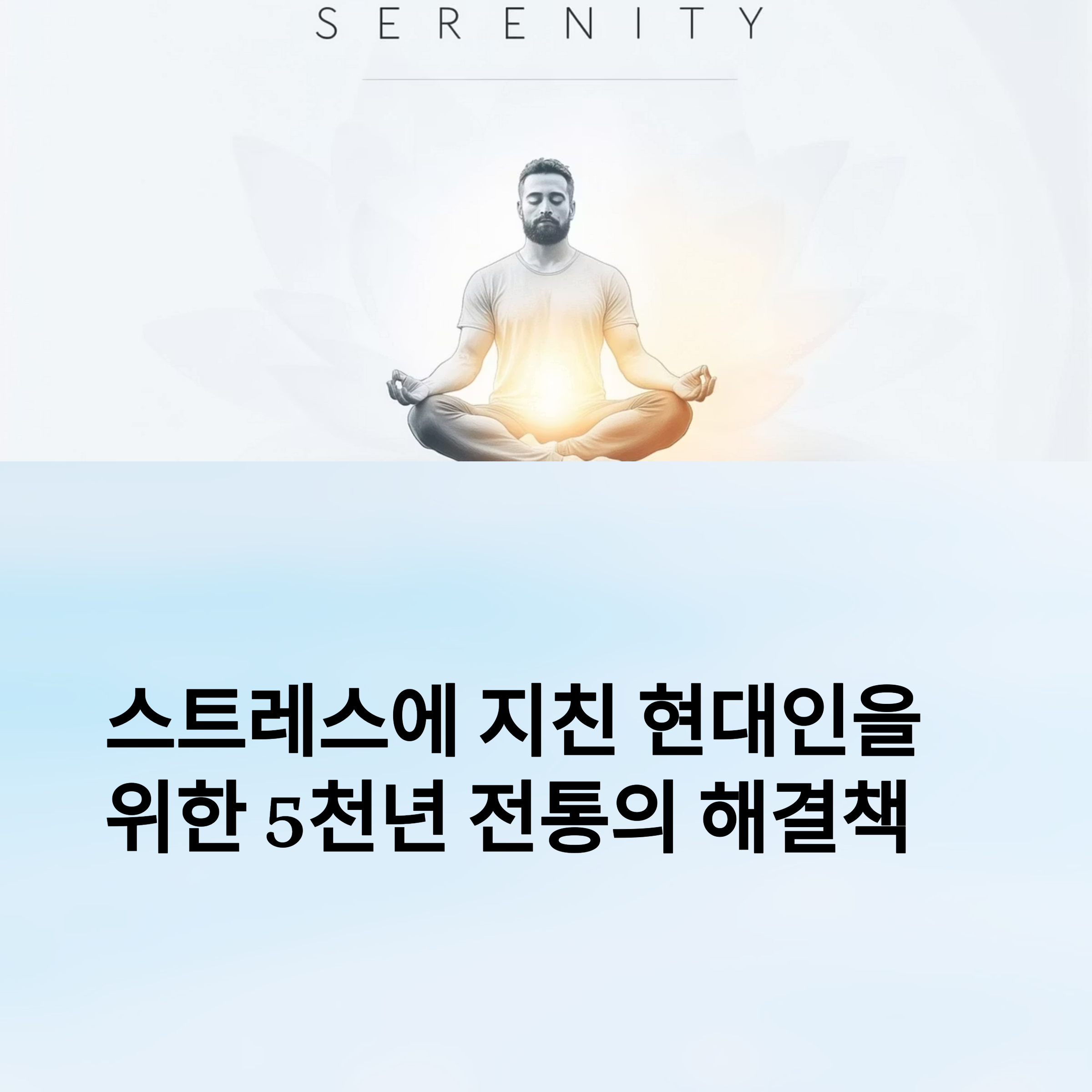 인도 아유르베다 명상