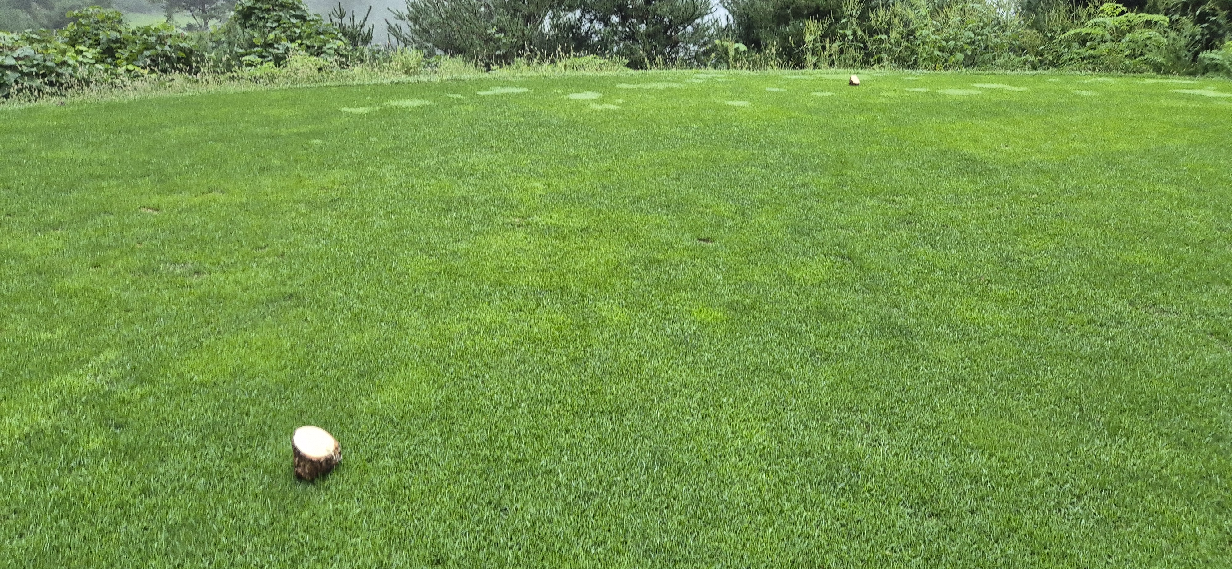 더플레이어스cc