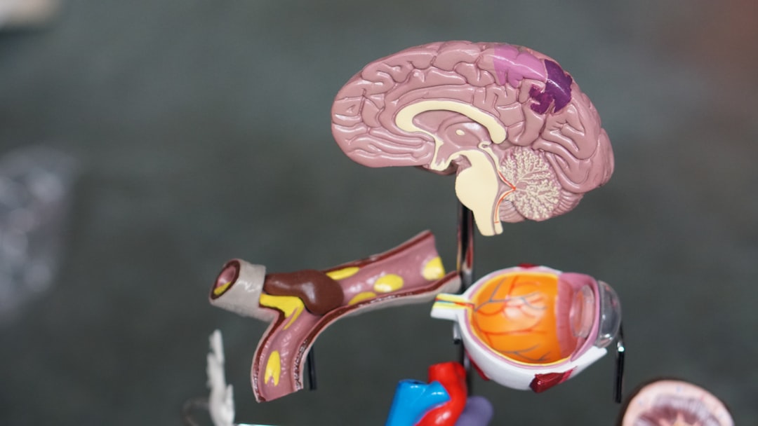 Metabolism